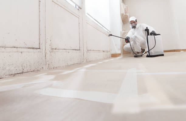 24/7 Emergency Mold Inspection experts in Garner, NC