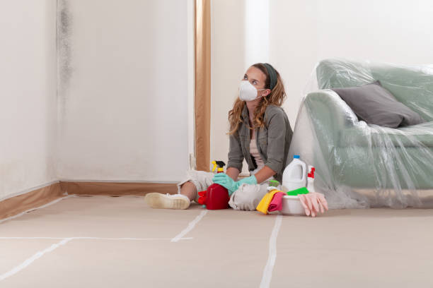 Reliable Mold Remediation contractor in Garner, NC by Cheap Mold Removal